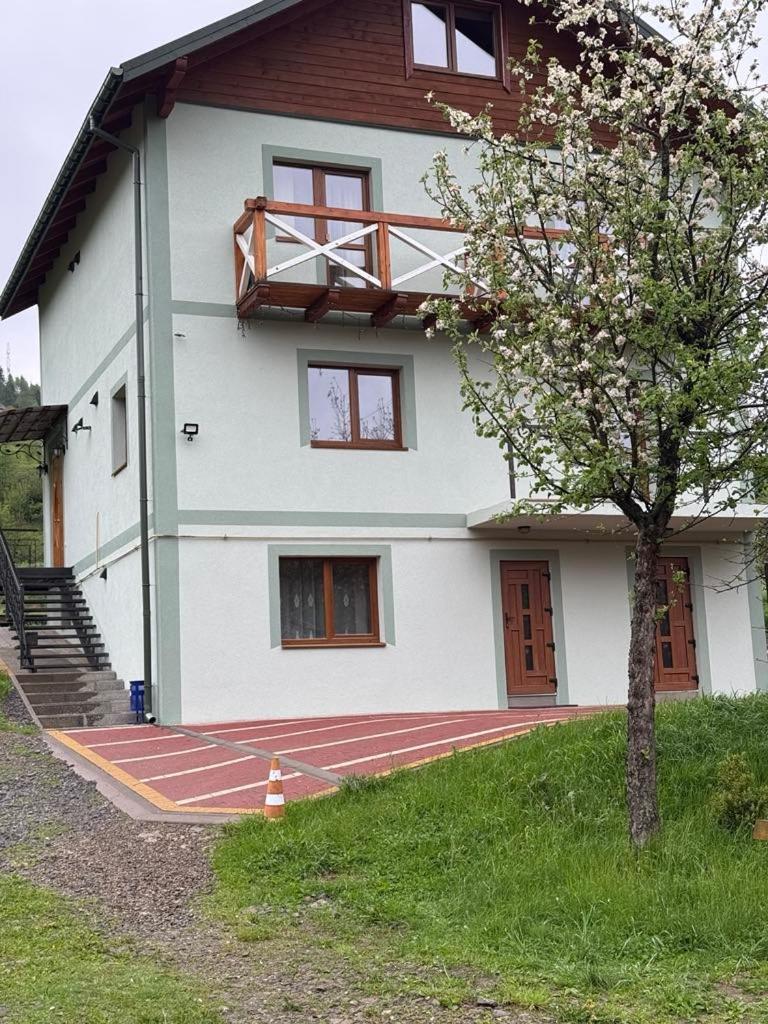Золота Рибка Villa Slavske Ngoại thất bức ảnh